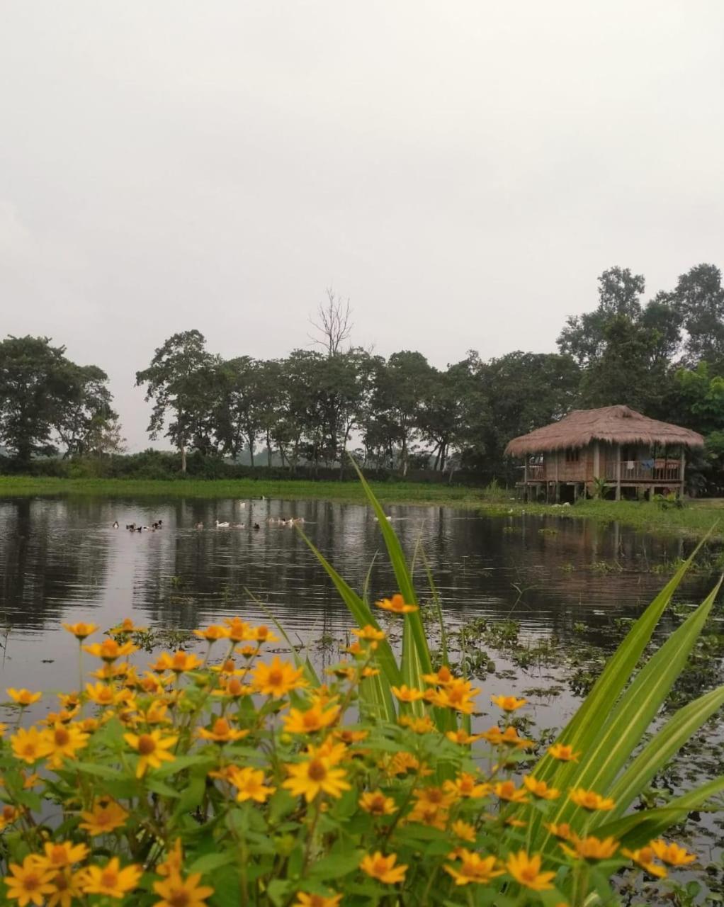 Yagdrasill Bamboo Cottage Bamungaon Eksteriør billede